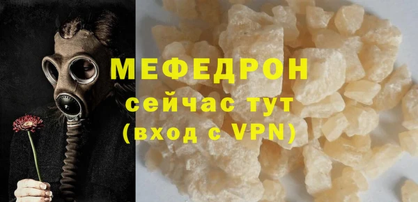 твердый Гусев