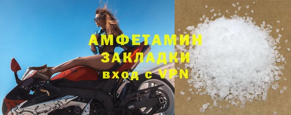 твердый Гусев