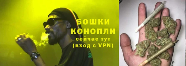 твердый Гусев