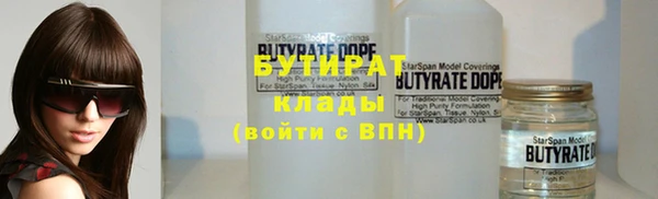 твердый Гусев
