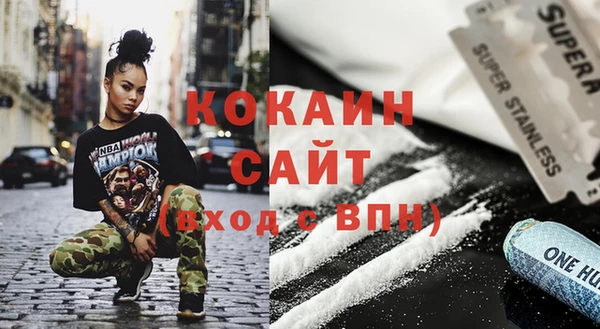 твердый Гусев