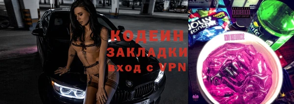 твердый Гусев