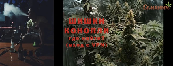 твердый Гусев