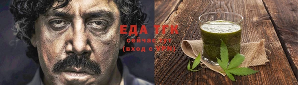 твердый Гусев