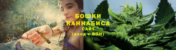 твердый Гусев