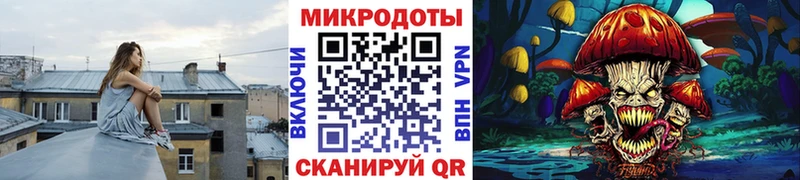 OMG зеркало  Рошаль  Галлюциногенные грибы мухоморы 